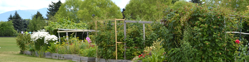 long-garden long-garden