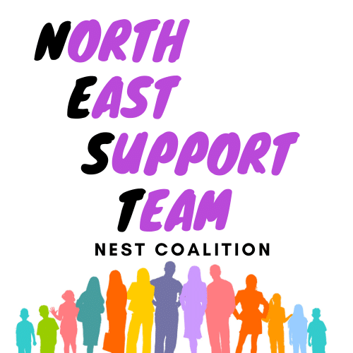 NorthEast-Support-Team-Coalition-NEST-3